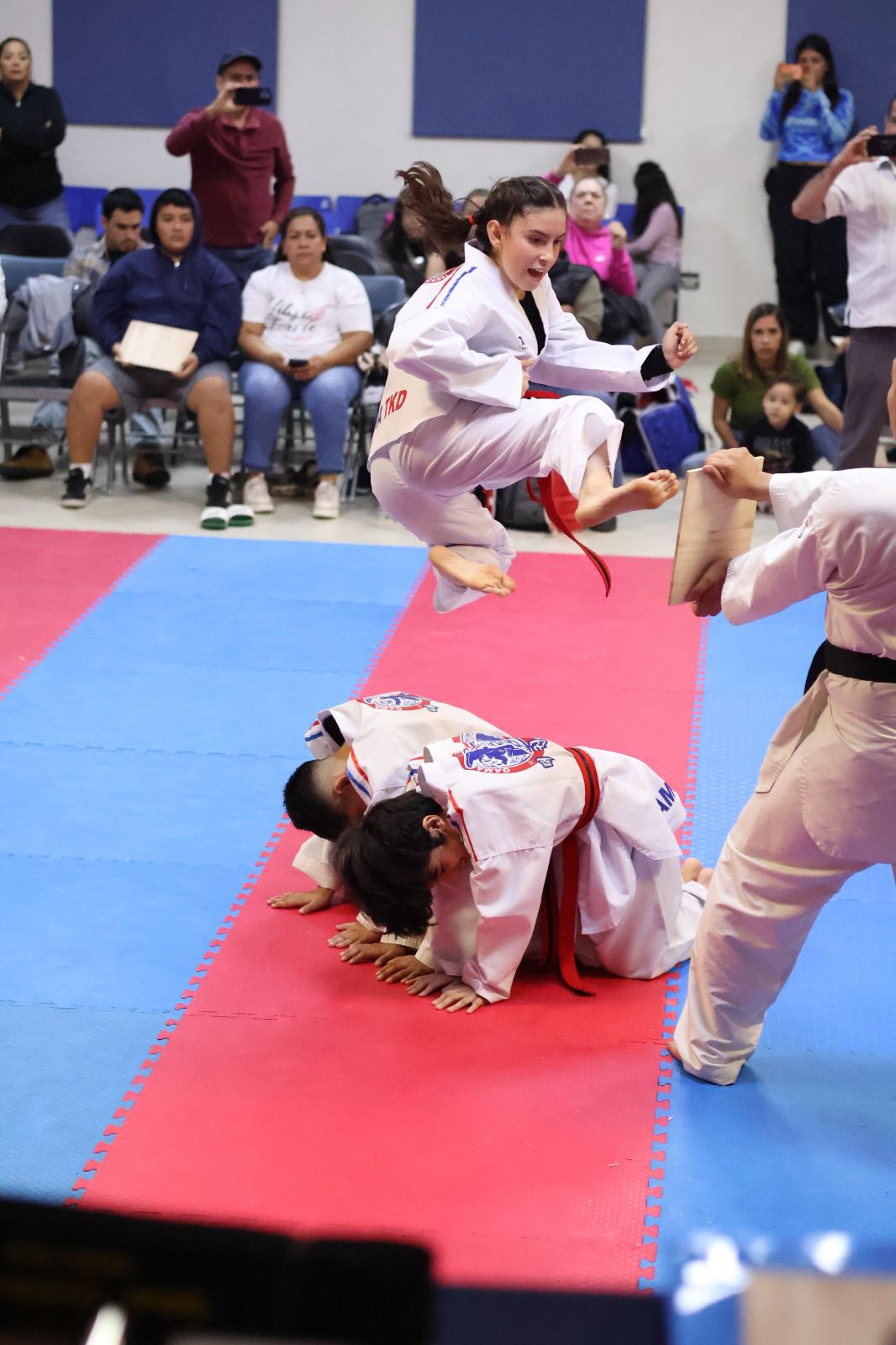 Patada voladora en exhibición de Taekwondo Monterrey
