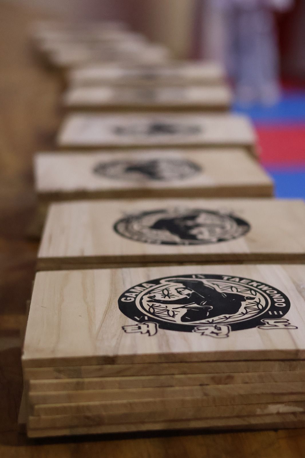 Tablas de rompimiento GAMA Taekwondo Monterrey